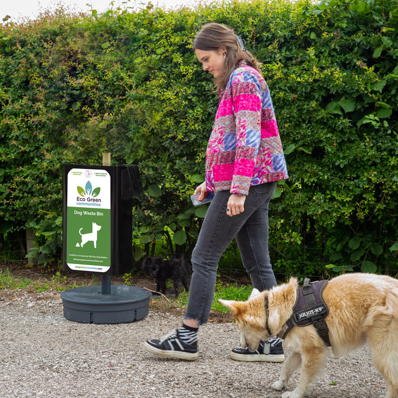 person walking dog next to dog poop bin